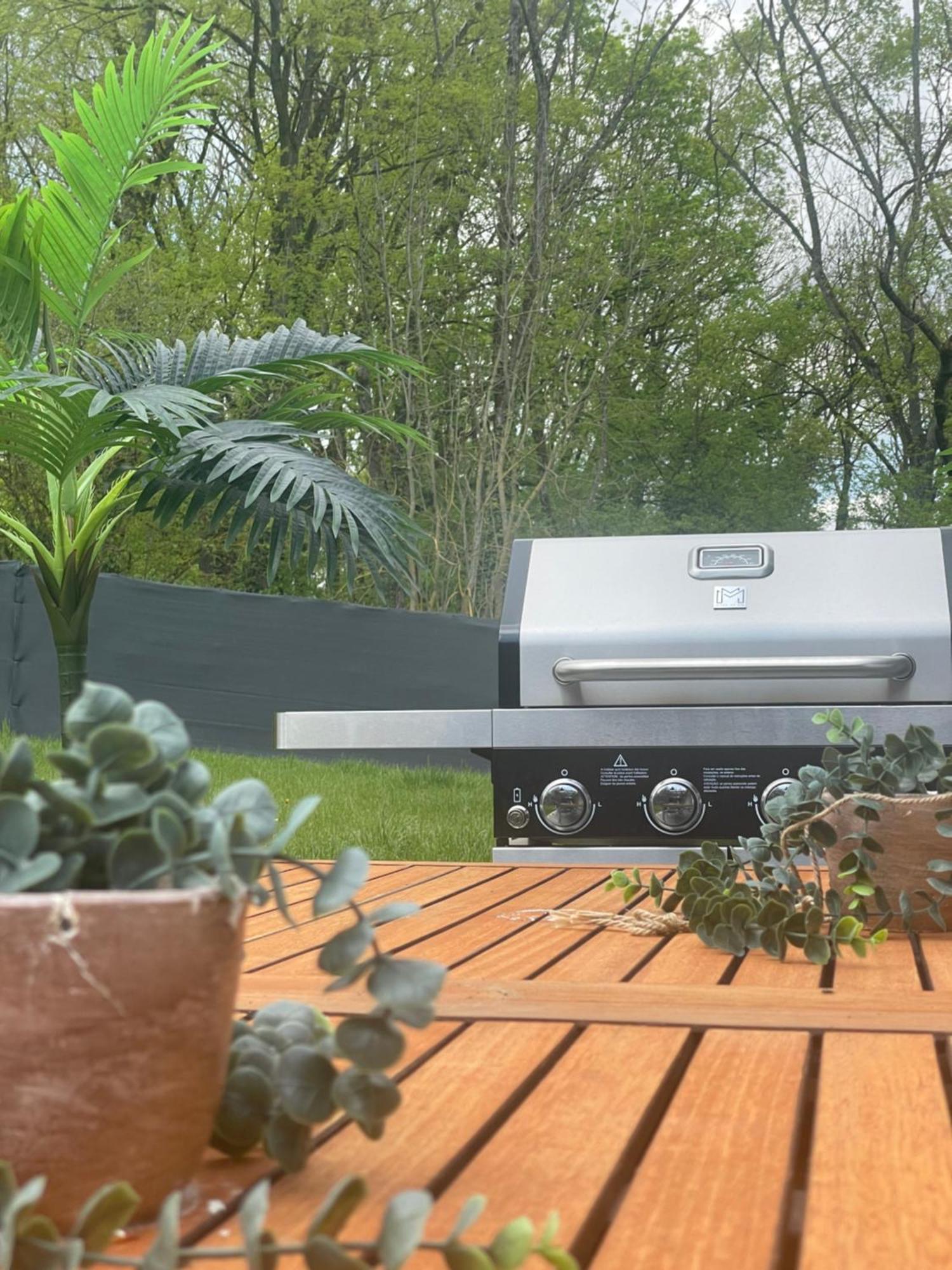 Sinalospa - Culiacan - Appartement Jardin Jacuzzi Sauna A 5 Minutes De Nancy Place Stanislas Champigneulles Экстерьер фото